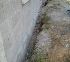 Apr&egrave;s nettoyage (fa&ccedil;ade nord)