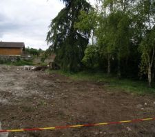 Premiers retraits d'arbres.