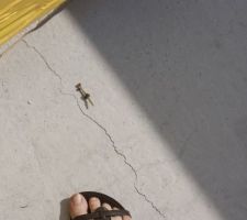 Exemple des petites fissures pr&eacute;sentes sur la dalle. D'apr&egrave;s le conducteur de travaux , celles-ci ne sont pas grave, elles sont dues &agrave; l'&eacute;vaporation de l'eau utilis&eacute;e lors de la construction de la dalle.