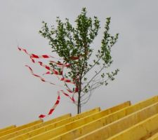 Le vent et la pluie était de la partie pour la pose
