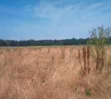 Photo du 27/07/2013 dans 2 ans il y aura tous un quartier ici