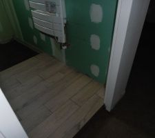 Le carrelage imitation parquet de la SDE.