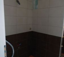 Les 2 couleurs de la SDE: beige et chocolat.