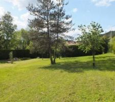 Le terrain du projet