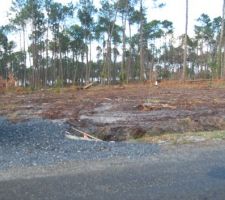 Le terrain d&eacute;bois&eacute;, d&eacute;ssouch&eacute; en attendant la suite de l'aventure....