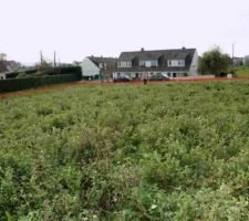 Terrain de 1000 m² - vue du fond -