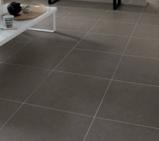 Carrelage couleur "focus argent" commandé!
livraison sous 10 jours.
60x60
