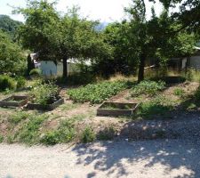 Notre petit jardin