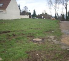 Exploration du terrain - vue de la route depuis le fond du terrain