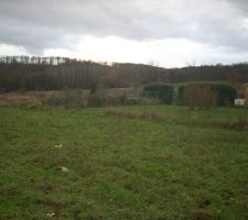 Exploration du terrain - vue du fond du terrain