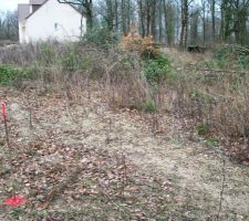 Terrain le 20/01/2010