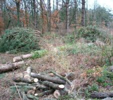 Terrain le 20/01/2010