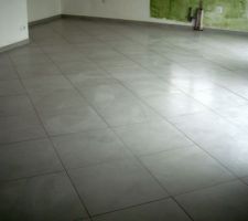 Dans le salon / salle &agrave; manger et cuisine :
Carrelage 60x60 mod&egrave;le "Urban" gris Lapeyre