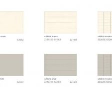 Choix de la fa&iuml;ence