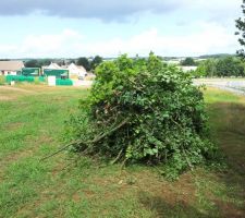 D&eacute;ja un bon tas...