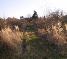 Voila a quoi ressemblait notre terrain avant qu'on le dépouille !