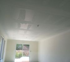 Plafond salle &agrave; manger-salon