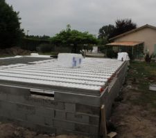 Un coté du hourdi fini , reste l'autre !