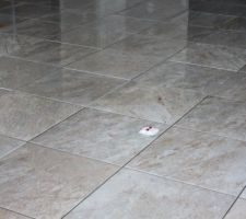 Prise Hauts Parleurs qui sera sous le canap&eacute;