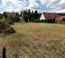 Nettoyage Du terrain