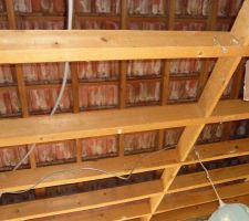 Dépose du plafond en brique