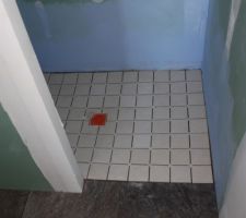 Sol douche &agrave; l'italienne antid&eacute;rapant