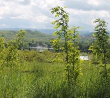Vue sur le plan d'eau depuis le terrain