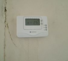 Moisissures galopante sur toutes les menuiseries.