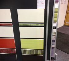 Faience de la salle de bain : vert et ivoire