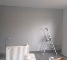 Peinture métallisée