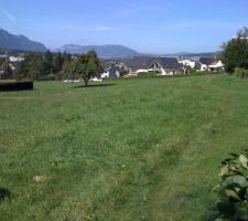 Notre Terrain en photo le jour ou on a décidé de l'acheter...