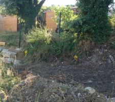 Enl&egrave;vement des broussailles au fond du terrain pour visu des bornes