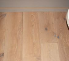 D&eacute;faut Esprit B&eacute;ton - Les lames du parquets ne sont pas coll&eacute;es les unes avec les autres ... Travail nul ... Si j'avais eu le temps de poser ce parquet, il aurait &eacute;t&eacute; carr&eacute;ment mieux pos&eacute; et je ne suis pas un professionnel ... Cette soci&eacute;t&eacute; non plus je pense ...