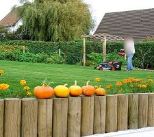 Les citrouilles et mon prince (qui travaille ;-D )