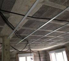 Fourrures pour faux plafonds