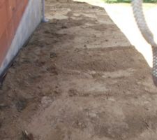 Derri&egrave;re de la maison : descente