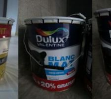 Peintures : la sous-couche, le blanc mat et le blanc satiné.