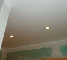 Voici les spots IP44 pour ma douche