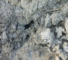 Source sur le bas du terrain