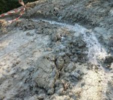 Source sur le bas du terrain