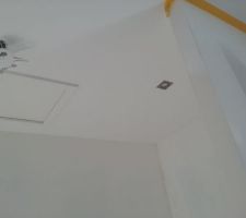 Spot dressing. Je me garde celle du milieu pour ma suspension jeeve ( chapeau melon)