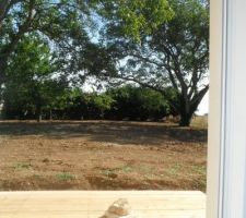 Vu de mon jardin depuis ma sale à manger