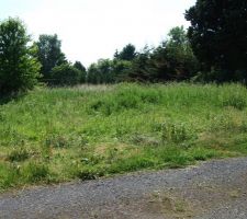 Notre terrain : 799 m2
