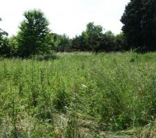 Autre vue sur le terrain .... Et bien expos&eacute; !