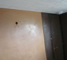 La salle d'eau
l'enduit à la chaux est lisse
installation des panneaux pour la douche