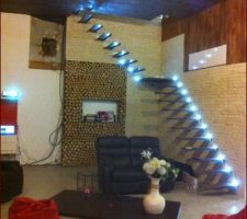 Slaon 95% fini reste l aquarium a mettre dans les rondins et a coté un insert a granulés MCZ bien sur avec un habillage non défini on verra l inspiration du moment...