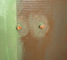 &eacute;tancheit&eacute; sur panneaux support de faience