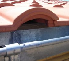 Bas de pente et gouttiere zinc