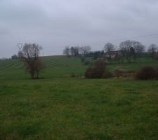 Photo prise en haut du terrain