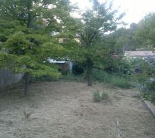 Débroussaillage